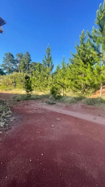 Pavilhão para locação em São João da Bela Vista, Passo Fundo/RS